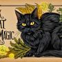 Photo of Black Cat Folk Magic