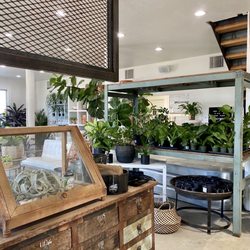 Freckle Farm - Interior