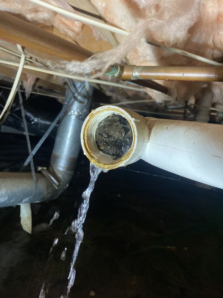 Slide of Wal Company