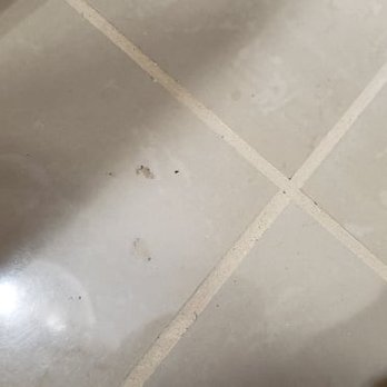 Strong Hands Cleaning - the floor was supposed to be mopped. - Home Cleaning Near Me Strong Hands Cleaning - the floor was supposed to be mopped. - Home Cleaning Near Me