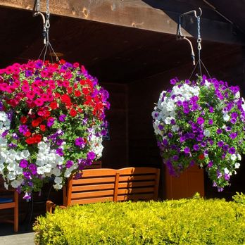 Gilgal Oasis Rv Park - Hanging Baskets - RV Parks Near Me - Sequim, Washington