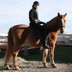 Red Colt Equestrian Farm - Mounted Combat with Academie Duello