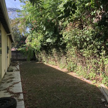 The Gardener - Landscaping Near Me