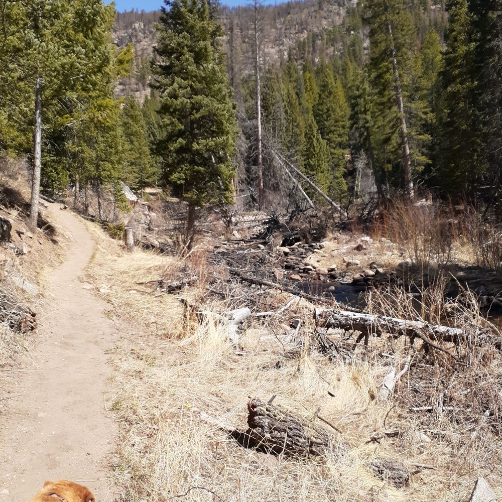 Dunraven Trailhead - Hiking Near Me - Drake, Colorado