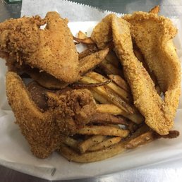 Tilapia