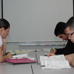 Cambridge Junior Collage - Cambridge Junior College Business Administration Students working hard.