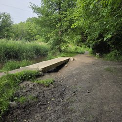 Bloomer Park