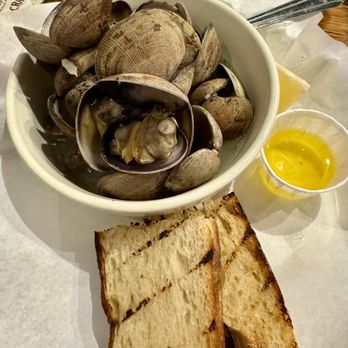 Drayton Harbor Oyster Company - Clams, $10. Good. - Live/Raw Food Near Me - Blaine, Washington