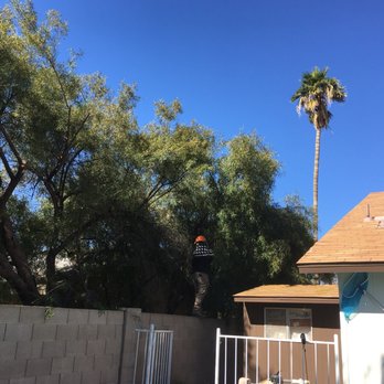 Core Tree Service - Tree Services Near Me - Glendale, Arizona