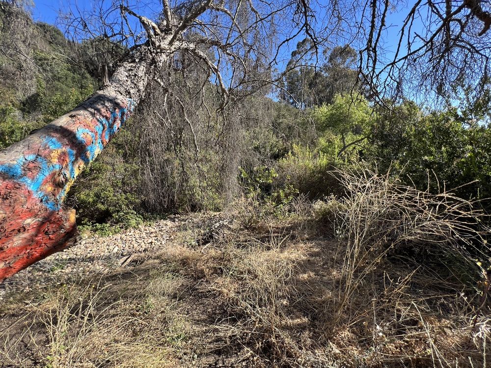 SWITZER CANYON OPEN SPACE PARK Updated October 2024 150 Photos & 12