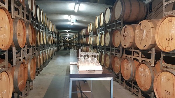 Tarrawarra Estate by null