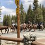 Photo of Mammoth Lakes Pack Outfit