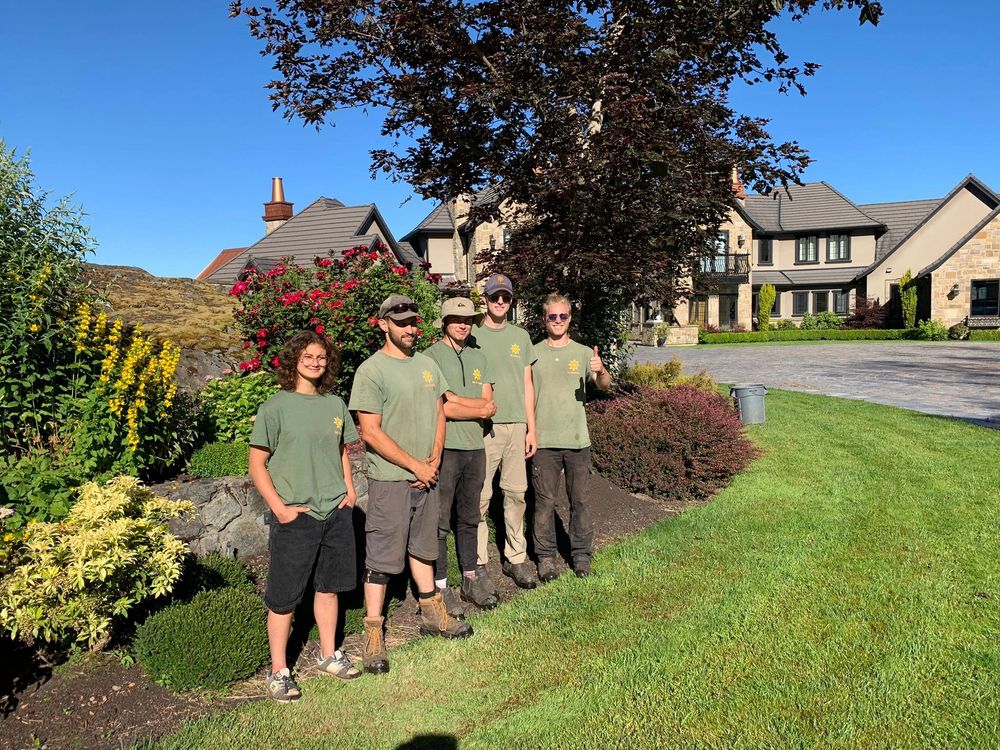 SOL LANDSCAPING Updated April 2024 19 Photos Langford, British