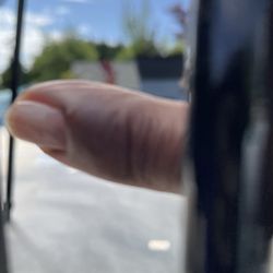 Panther Lake Nails - Right hand Index finger