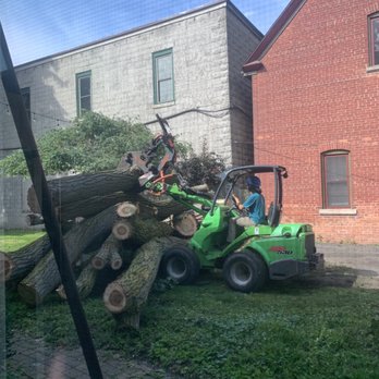 JM Tree - Josh's team is great! - Tree Services Near Me - Rochester, New York