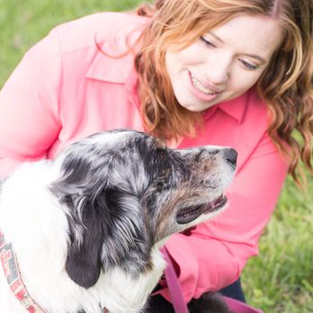 Beyond The Dog - Alexis Mitchell - Pet Training Near Me - Houston, Texas