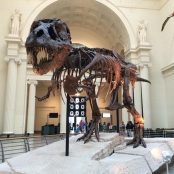 Field Museum - Museums Near Me - Chicago, Illinois Field Museum - Museums Near Me - Chicago, Illinois