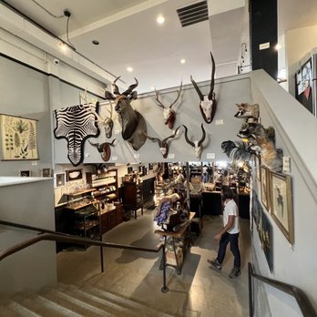 Paxton Gate - Jewelry Near Me - Portland, Oregon