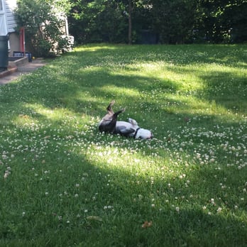 Dog Cat & Bird Clinic - Doin what he does!! - Veterinarians Near Me - Nutley, New Jersey Dog Cat & Bird Clinic - Doin what he does!! - Veterinarians Near Me - Nutley, New Jersey