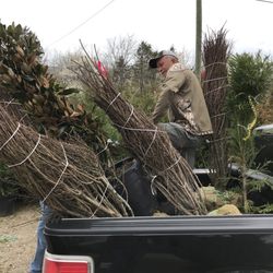 Boyd & Boyd Nursery - Expert loading - and a great country song or two ..! Great folks here! The best.