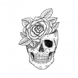 Calaveras Liquor