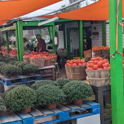 Angie's Fresh Produce - I really need to try their other stuff!