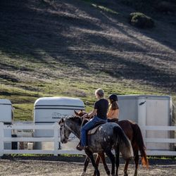 Blue Bandida Horse Training & Lessons