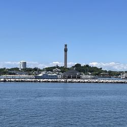 Dolphin Fleet