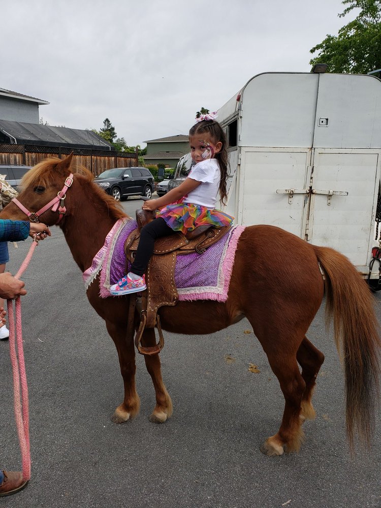 ALL ABOUT A PONY PARTY! CLOSED 18 Photos & 39 Reviews San Jose