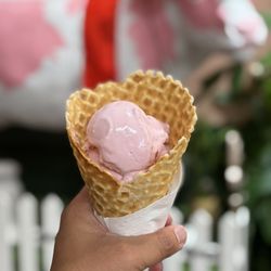 Brentwood Icecream Co. - Jammy Strawberry Crunch