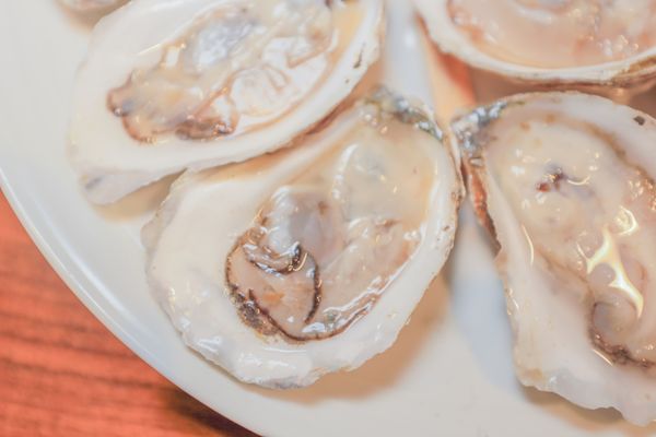 Harbor Fish Market by null