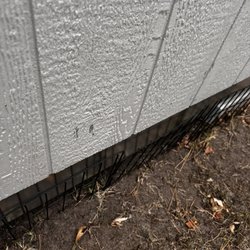 Tuff Shed Parker - Scuffs all over paint
