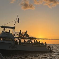 South Pacific Vacations - Night swim with the manta rays at sunset!