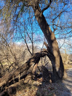 Urban Ecology Center - Riverside Park by null