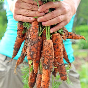 EarthDance Organic Farm School - Community Service/Non-Profit Near Me - Ferguson, Missouri EarthDance Organic Farm School - Community Service/Non-Profit Near Me - Ferguson, Missouri