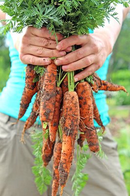EarthDance Organic Farm School by null