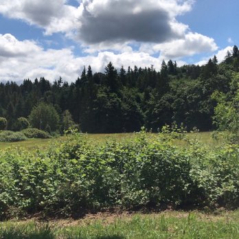 Evans Creek Preserve - Parks Near Me - Redmond, Washington