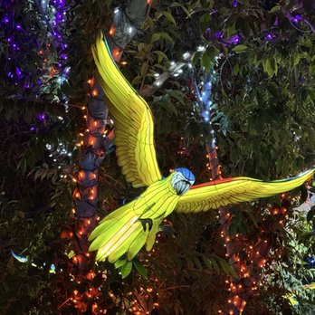 Zoolights - Zoos Near Me - Phoenix, Arizona