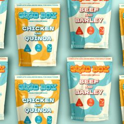 Say goodbye to boring kibble!  Our human-grade meals--like Beef & Barley and Chicken & Quinoa--are made for happy pups