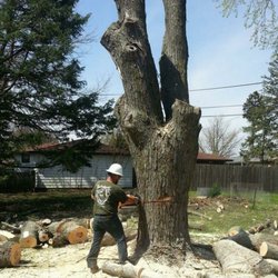 Timberhawk Tree Service