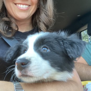 Team Reeves Ranch - Pet Breeders Near Me - Mariposa, California