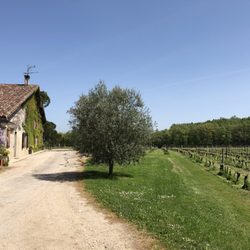 Château Saint Louis