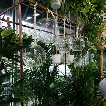 Grounded Plant & Floral - hanging plants - Nurseries & Gardening Near Me - Indianapolis, Indiana