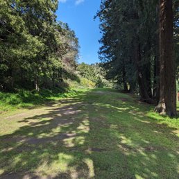 Look down the 4th tee box Look down the 4th tee box