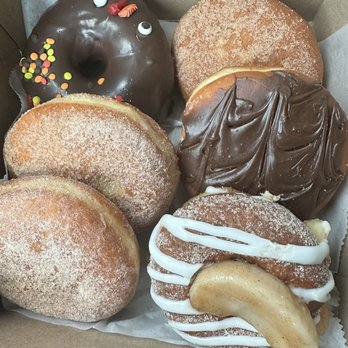 Conti's Pastry Shoppe - Bottom left to bottom Right 2 apple pie donuts Turkey special Apple pie donut Boston cream Apple cider donut - Bakeries Near Me - Bronx, New York Conti's Pastry Shoppe - Bottom left to bottom Right 2 apple pie donuts Turkey special Apple pie donut Boston cream Apple cider donut - Bakeries Near Me - Bronx, New York