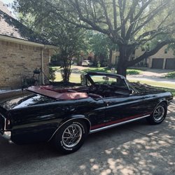 Rooster Ridge Car Care - Mustang Car