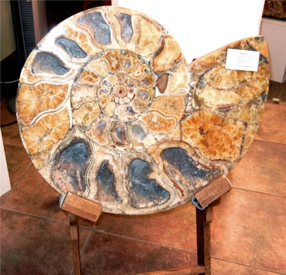 ZRS Fossils & Gifts by null