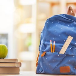 Courtyard Chiropractic Health Centre - Pack it light, pack it right! Back health for kids is so important!