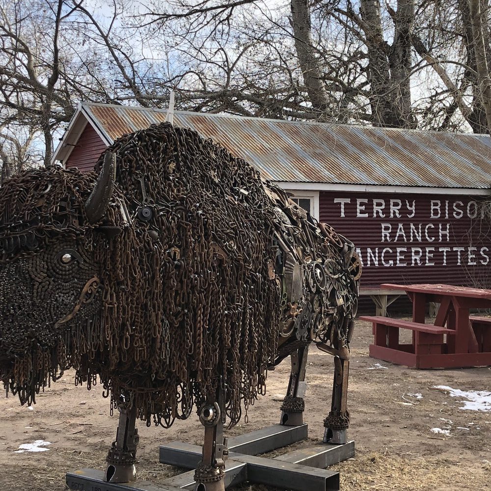 Terry Bison Ranch Resort - The nuts and bolts of bison: look closely - Venues & Event Spaces Near Me - Cheyenne, Wyoming Terry Bison Ranch Resort - The nuts and bolts of bison: look closely - Venues & Event Spaces Near Me - Cheyenne, Wyoming