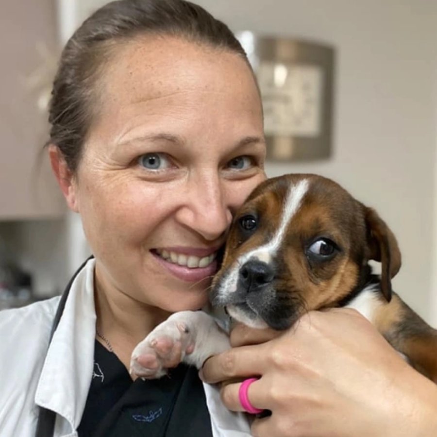 Anclote Animal Hospital - pet boarding facility in Tarpon Springs, FL